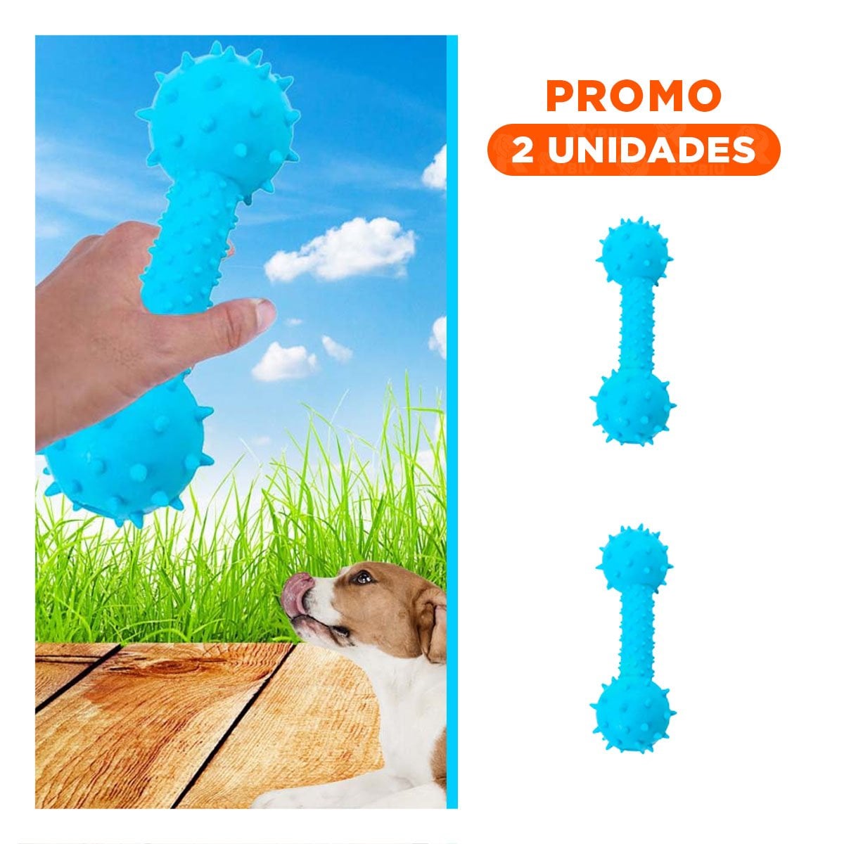 PACK2 JUGUETE PARA PERRO HUESO CELESTE CON DISENO ALEGRE PARA MASCOTAS - 1