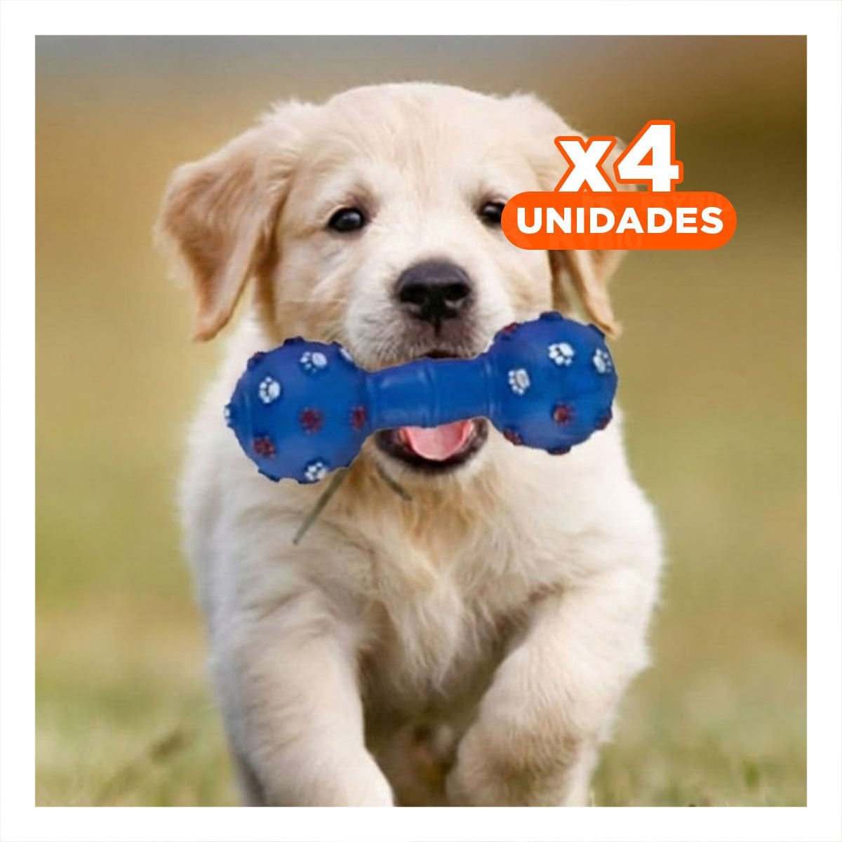 PACK4 JUGUETE HUESO AZUL PARA PERRO CON DISENO DE HUELLITAS EN RELIEVE - 1