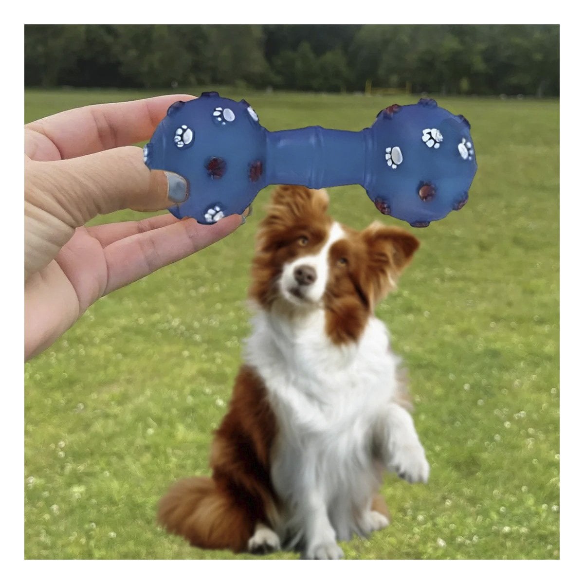PACK4 JUGUETE HUESO AZUL PARA PERRO CON DISENO DE HUELLITAS EN RELIEVE - 2