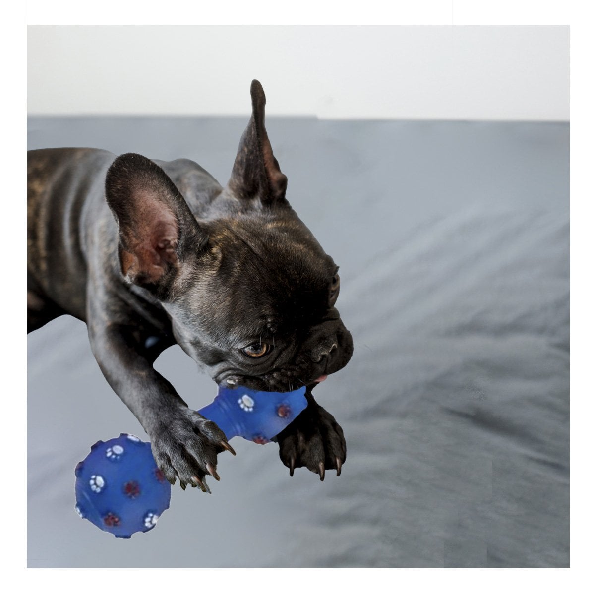 PACK4 JUGUETE HUESO AZUL PARA PERRO CON DISENO DE HUELLITAS EN RELIEVE - 5