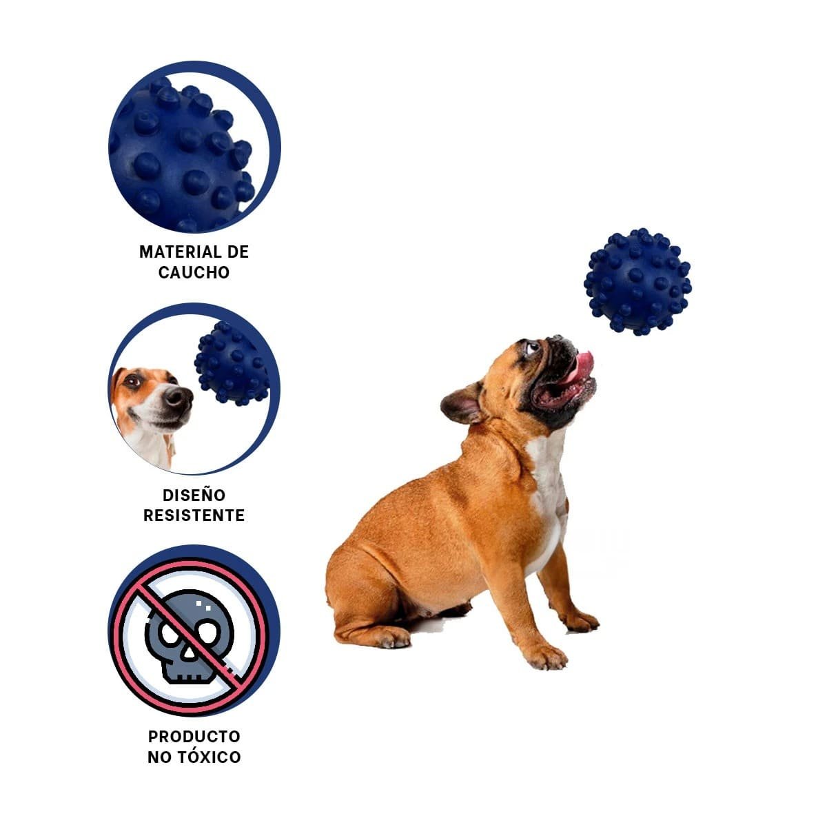 JUGUETE DE CAUCHO AZUL PARA MASCOTAS DISENO CHIRIMOLLA TAMANO CHICO - 3