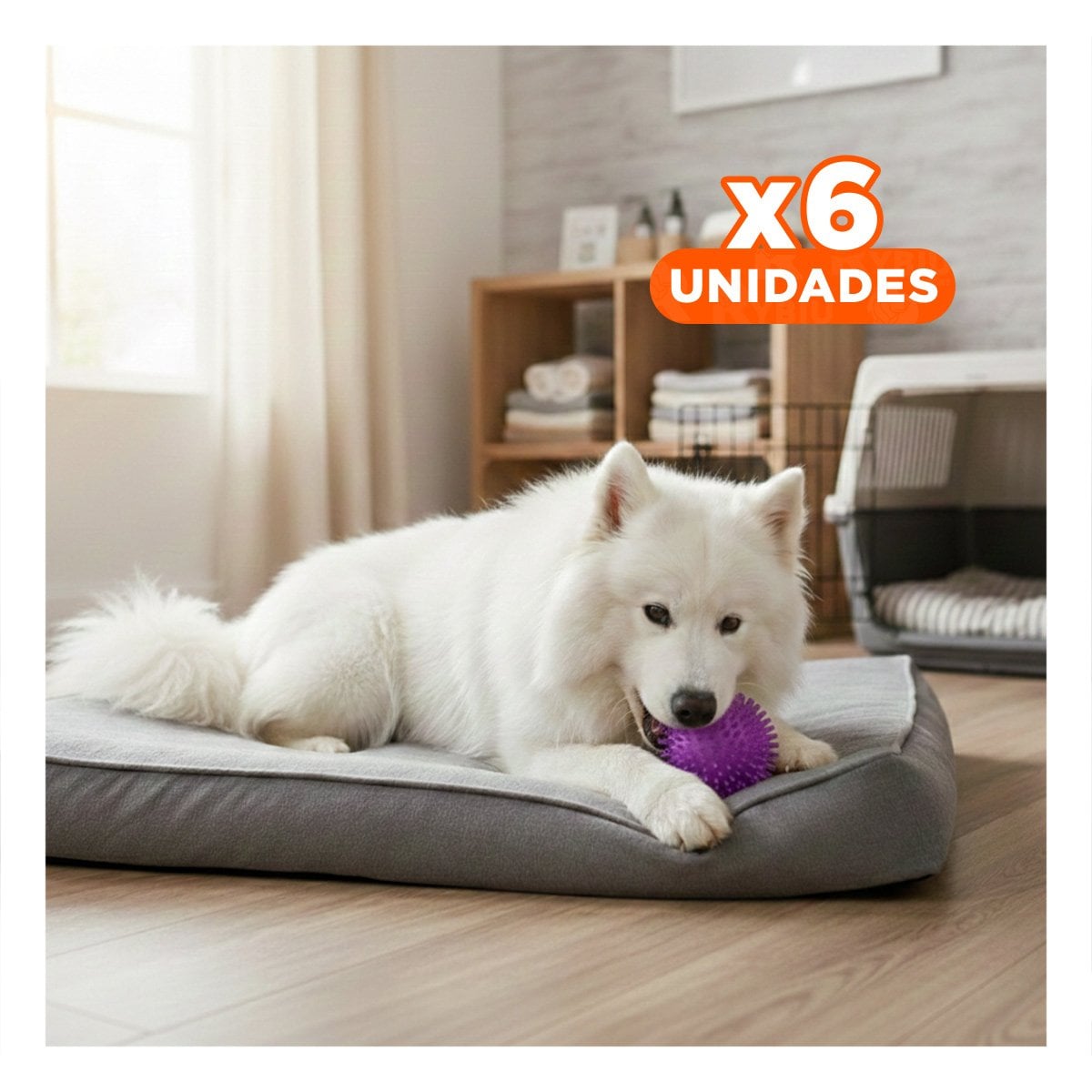 PACK6 JUGUETE CANINO MORADO COMPACTO TIPO CHIRIMOLLA ATRACTIVO Y+REGALO STICKER - 1