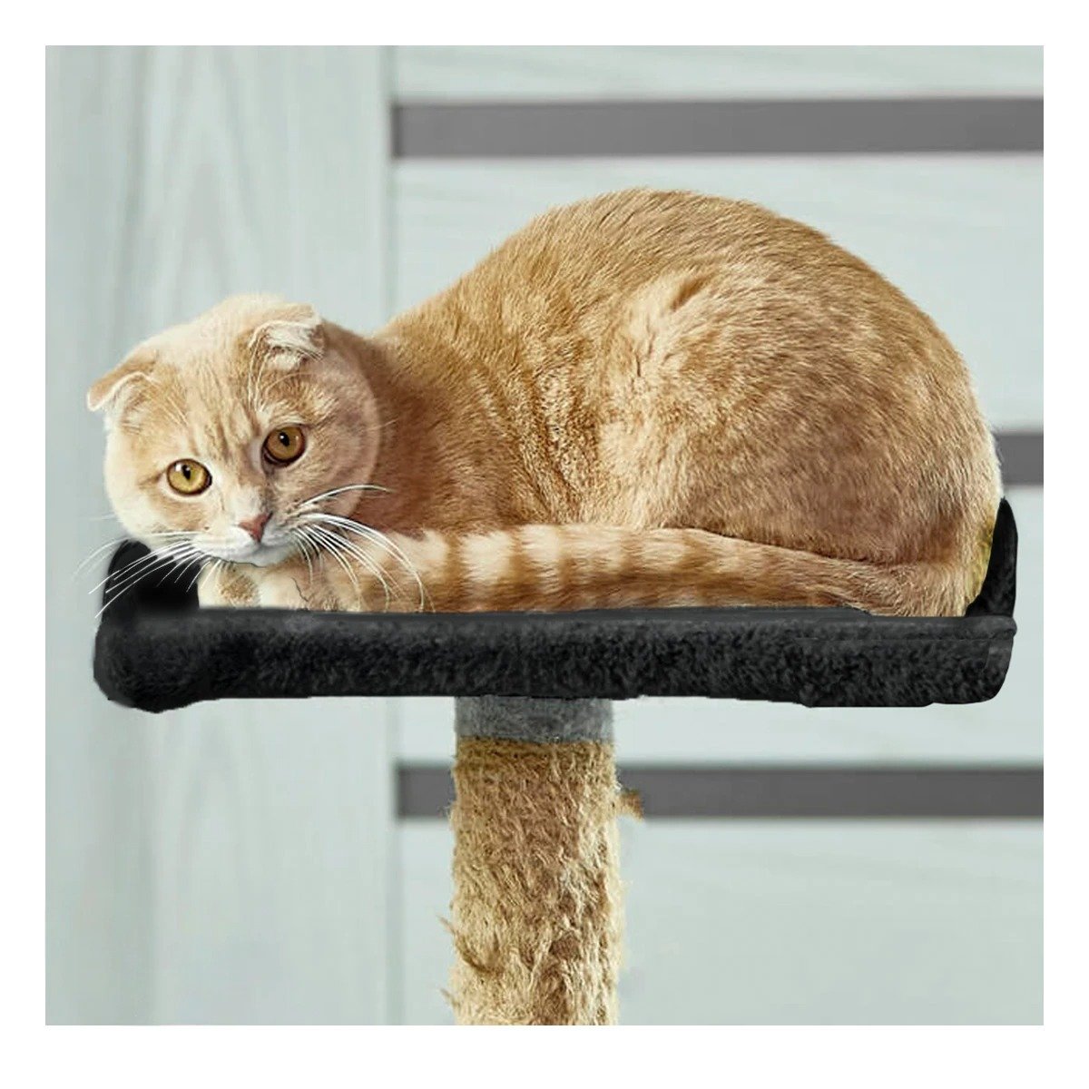PACK2 MANSION DE GATO CASA RASCADOR NEGRO TRES NIVELES PARA MASCOTA SUAVE Y+REGALO STICKER - 5