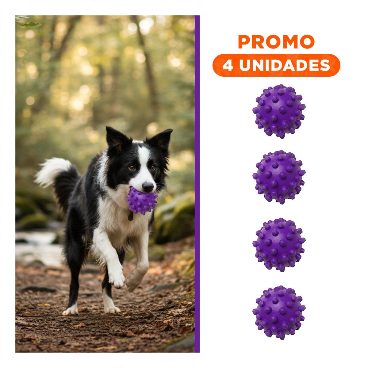 PACK4 JUGUETE CANINO MORADO DE CAUCHO CHICO CON TEXTURA RESISTENTE Y+REGALO STICKER - 1