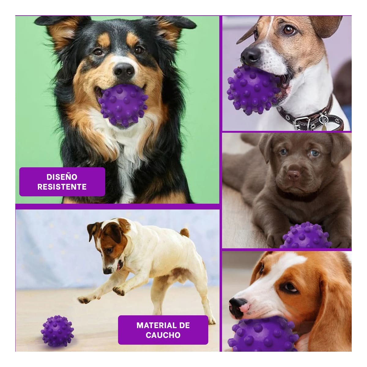 PACK4 JUGUETE CANINO MORADO DE CAUCHO CHICO CON TEXTURA RESISTENTE Y+REGALO STICKER - 2