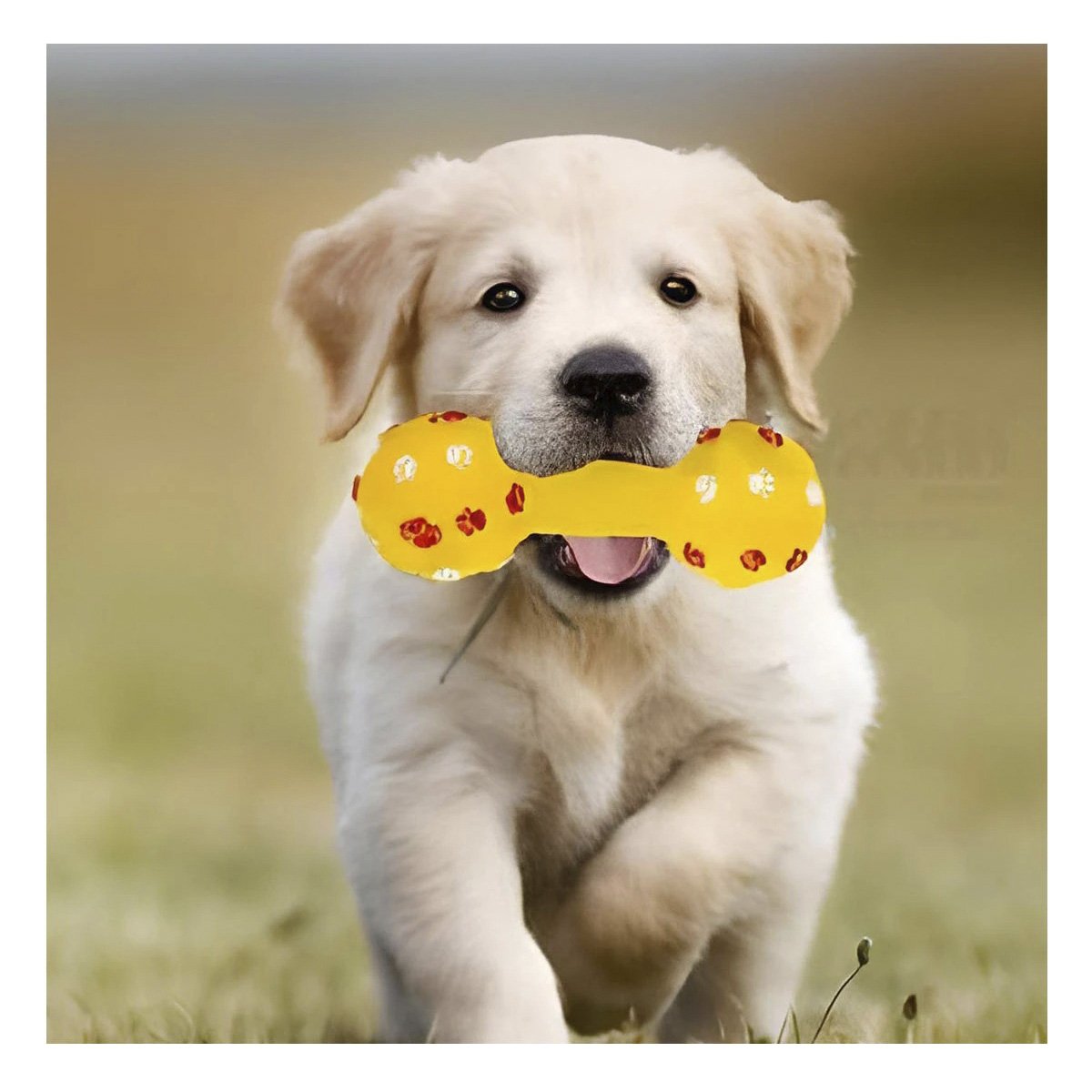 PACK2 HUESO PARA MASCOTA COLOR AMARILLO CON DETALLES DECORATIVOS DE HUELLAS Y+REGALO STICKER - 5