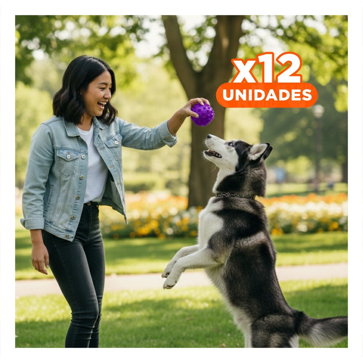 PACK12 ACCESORIO PARA PERRO MORADO CON DISENO CHIRIMOLLA LIGERO - 1