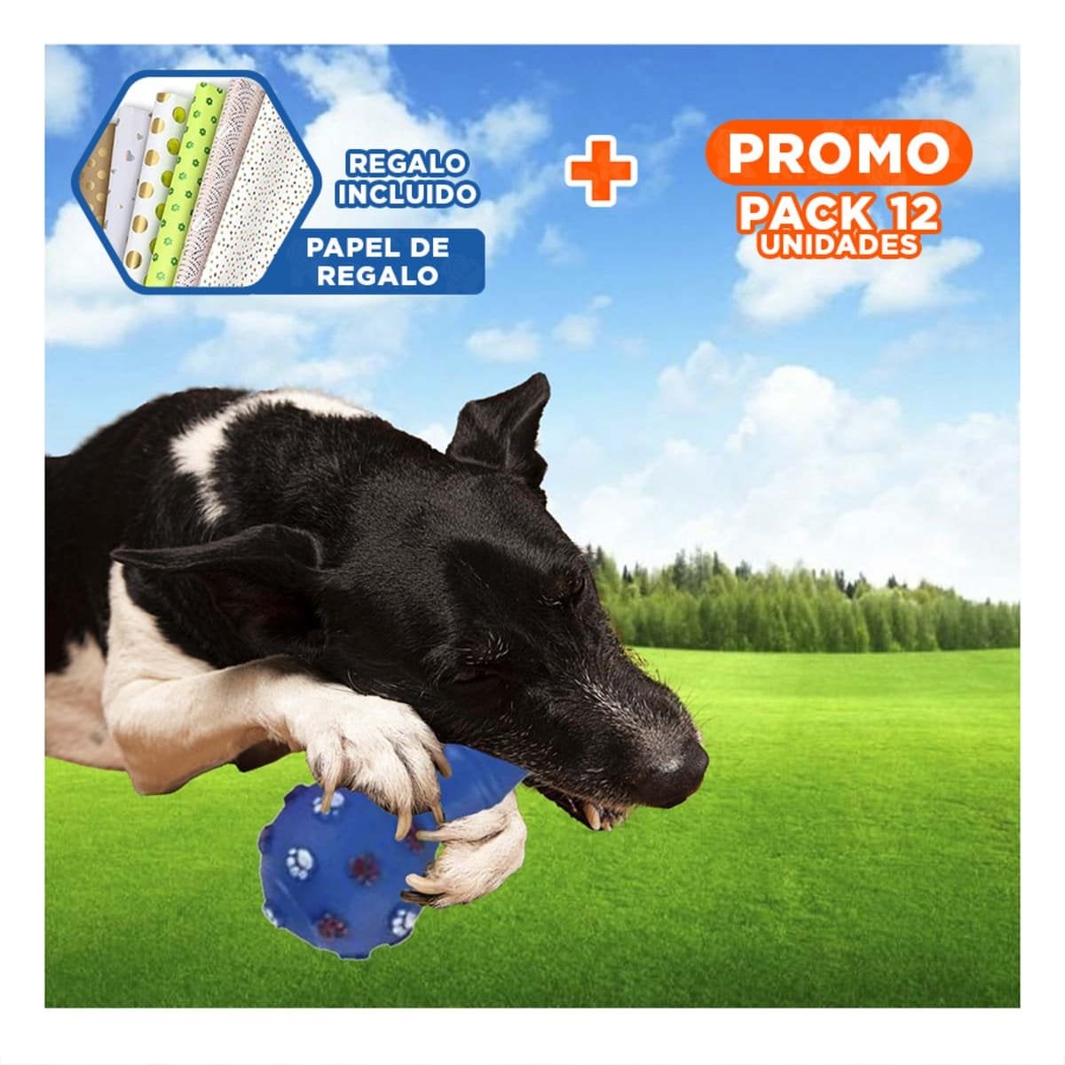 PACK12 ACCESORIO CANINO HUESO AZUL CON RELIEVE ANTIDESLIZANTE Y+PAPEL REGALO - 1