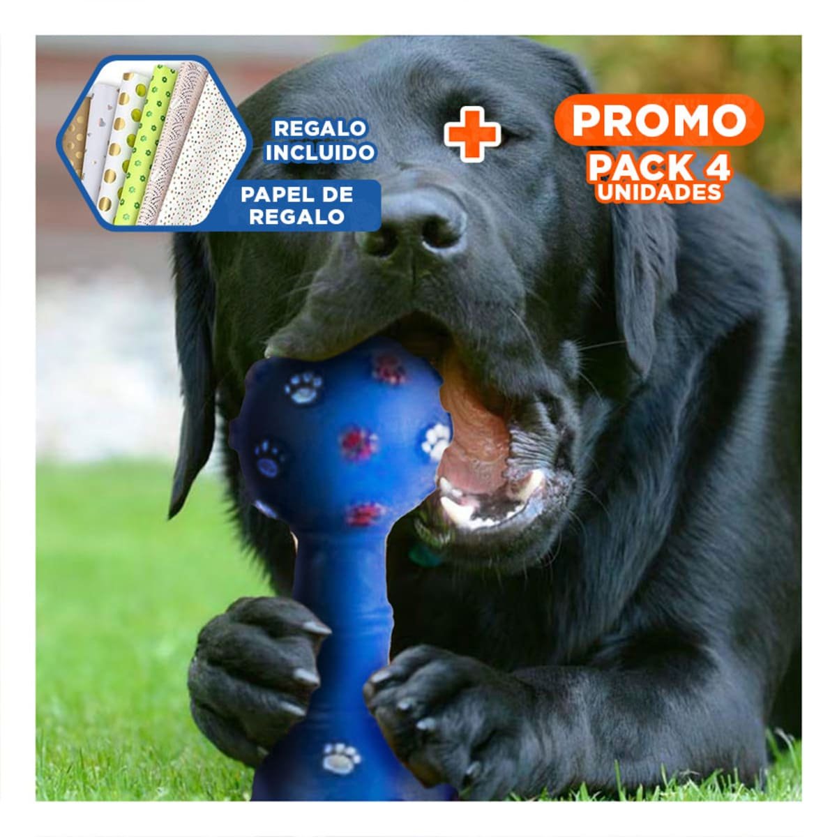 PACK4 HUESO CANINO AZUL CON FORMA CLASICA PARA USO DIARIO Y+PAPEL REGALO - 1