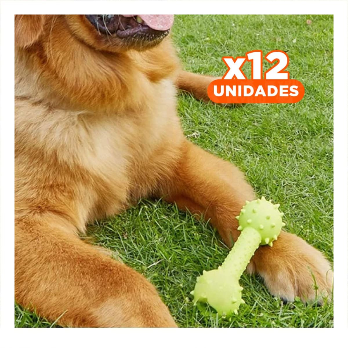PACK12 HUESO DE JEBE VERDE AMARILLENTO PARA RUTINAS DE JUEGO - 1
