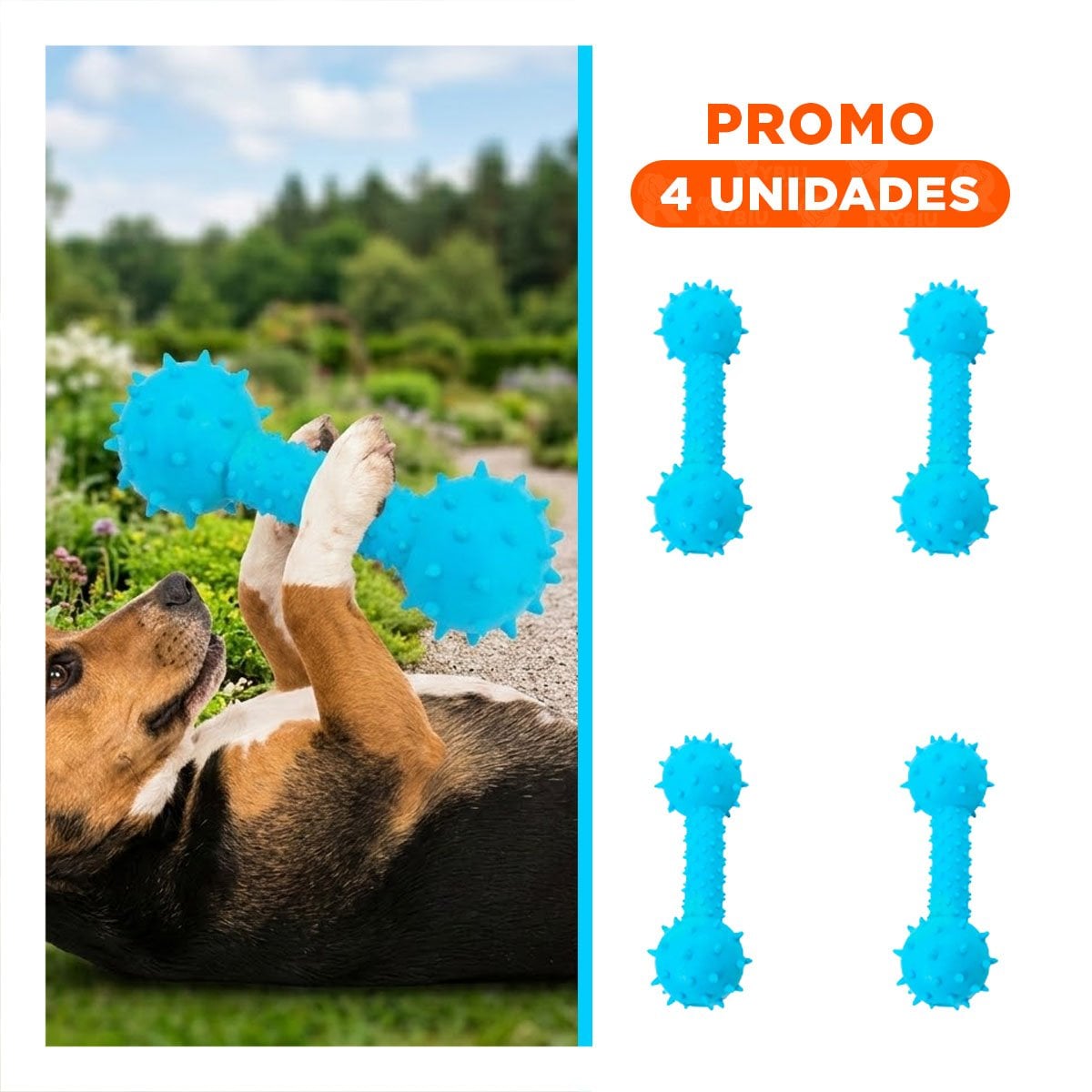 PACK4 HUESO CELESTE DE GOMA CON DISENO DIVERTIDO PARA MASCOTAS ACTIVAS Y+REGALO STICKER - 1