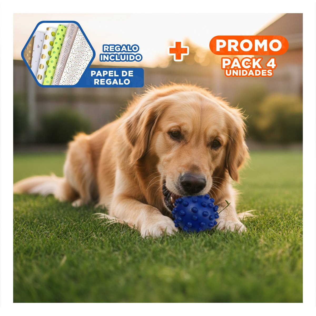 PACK4 JUGUETE PARA PERRO AZUL CON FORMA DE CHIRIMOLLA USO DIARIO Y+PAPEL REGALO - 1