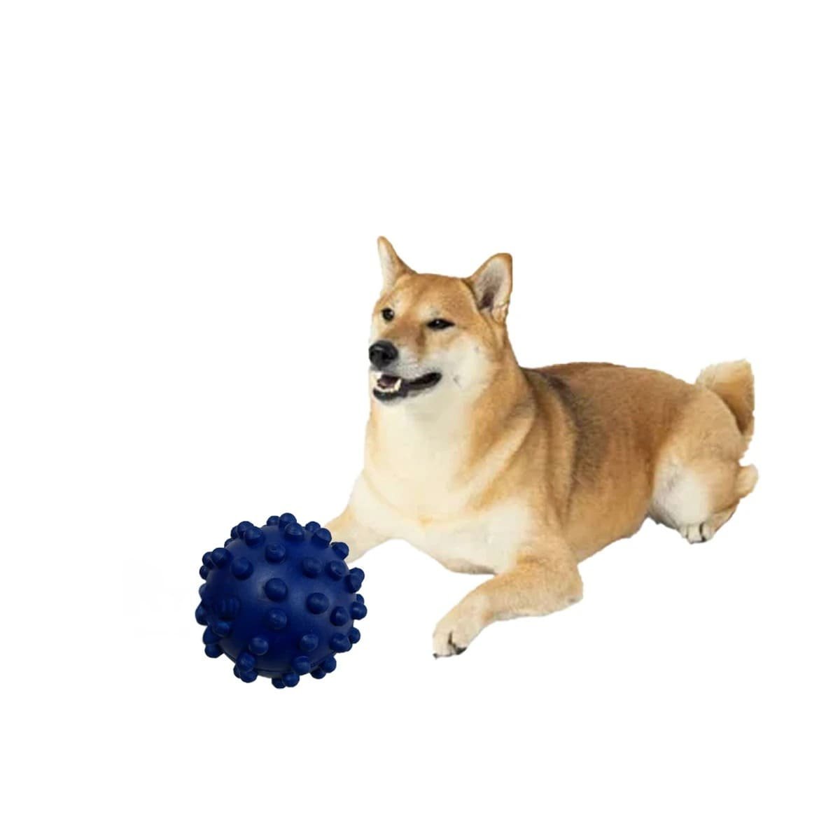 PACK4 JUGUETE PARA PERRO AZUL CON FORMA DE CHIRIMOLLA USO DIARIO Y+PAPEL REGALO - 3