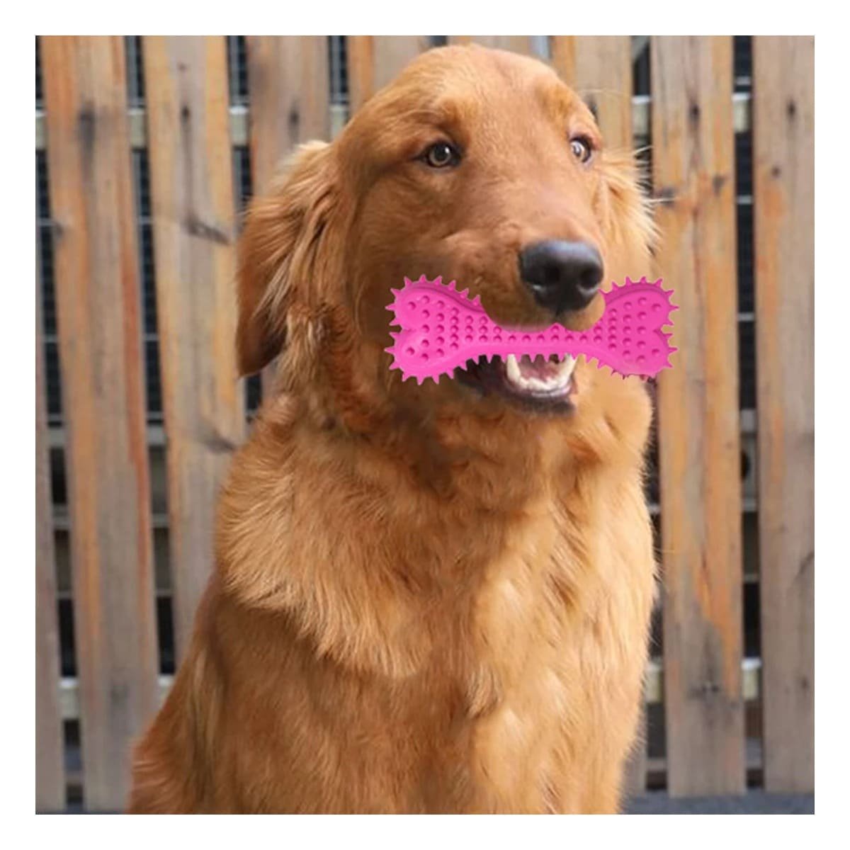 PACK2 JUGUETE CANINO ROSADO TIPO HUESO CON RELIEVE FUNCIONAL Y+PAPEL REGALO - 5