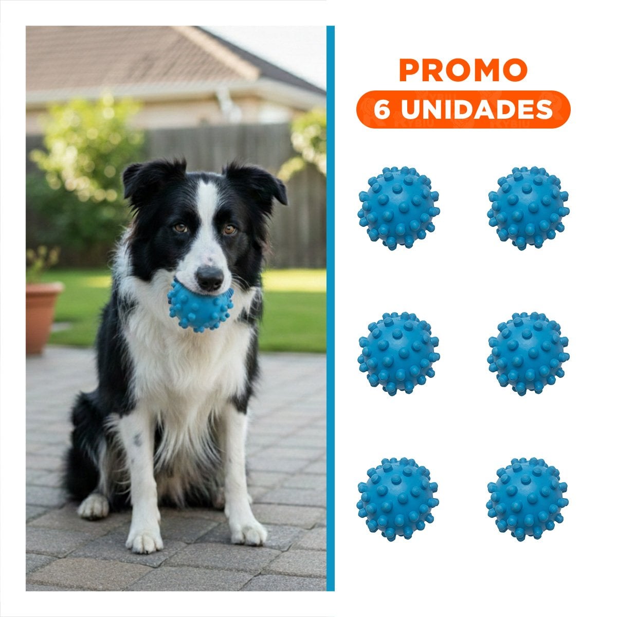 PACK6 ACCESORIO CELESTE TIPO CHIRIMOLLA PARA MASCOTAS DISENO FUNCIONAL - 1
