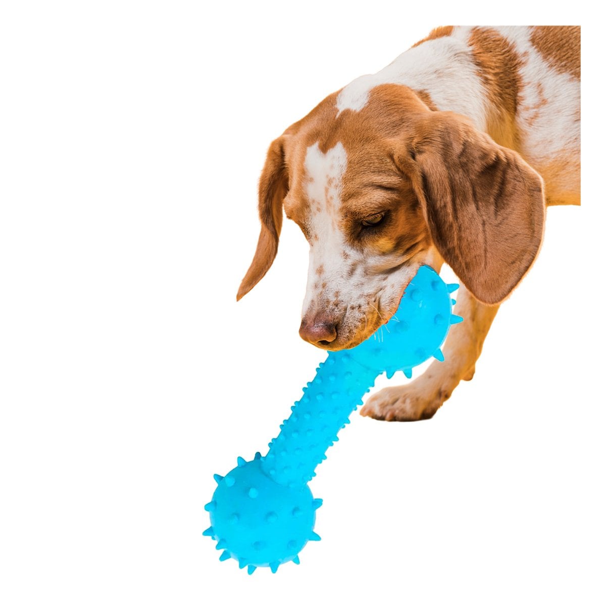 PACK6 JUGUETE PARA MASCOTA TIPO HUESO CELESTE CON RELIEVE ESTIMULANTE Y+REGALO STICKER - 2