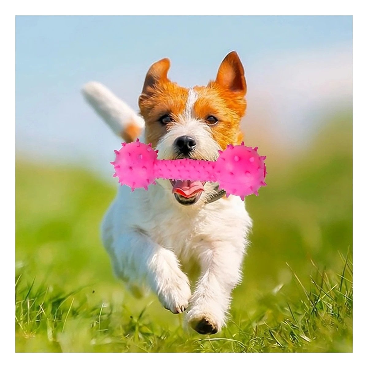 PACK4 JUGUETE CANINO DE JEBE ROSADO PARA MORDIDAS CONTROLADAS Y+PAPEL REGALO - 5