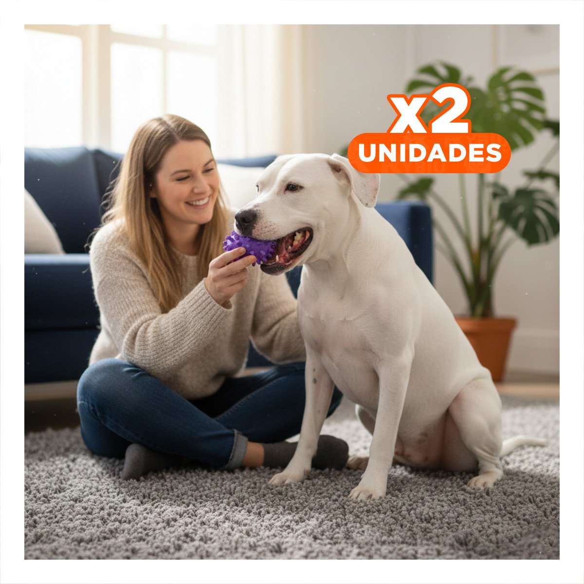 PACK2 JUGUETE CANINO MORADO FORMA CHIRIMOLLA PARA DIVERSION CONTINUA Y+REGALO STICKER - 1