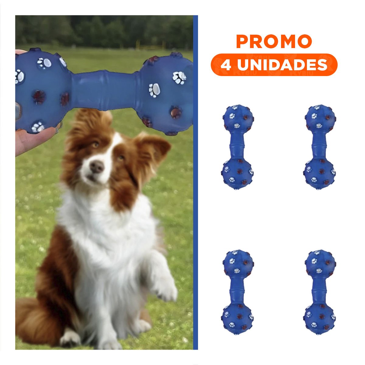 PACK4 ACCESORIO PARA MASCOTA TIPO HUESO AZUL CON ESTILO DIVERTIDO Y+REGALO STICKER - 1