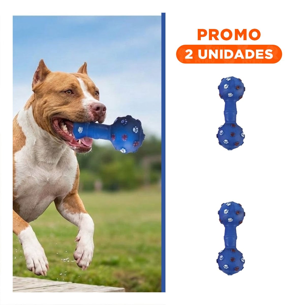 PACK2 ACCESORIO CANINO HUESO AZUL PARA JUEGO EN INTERIORES - 1