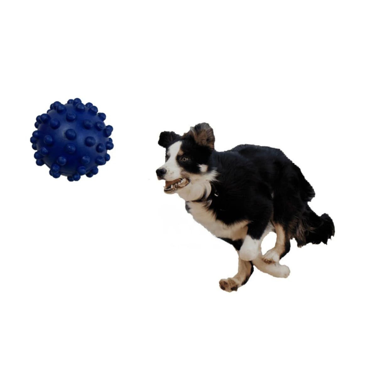 JUGUETE AZUL DE CAUCHO PARA MASCOTA CON ESTILO CHIRIMOLLA CHICO Y+LIGAS REGALO - 3