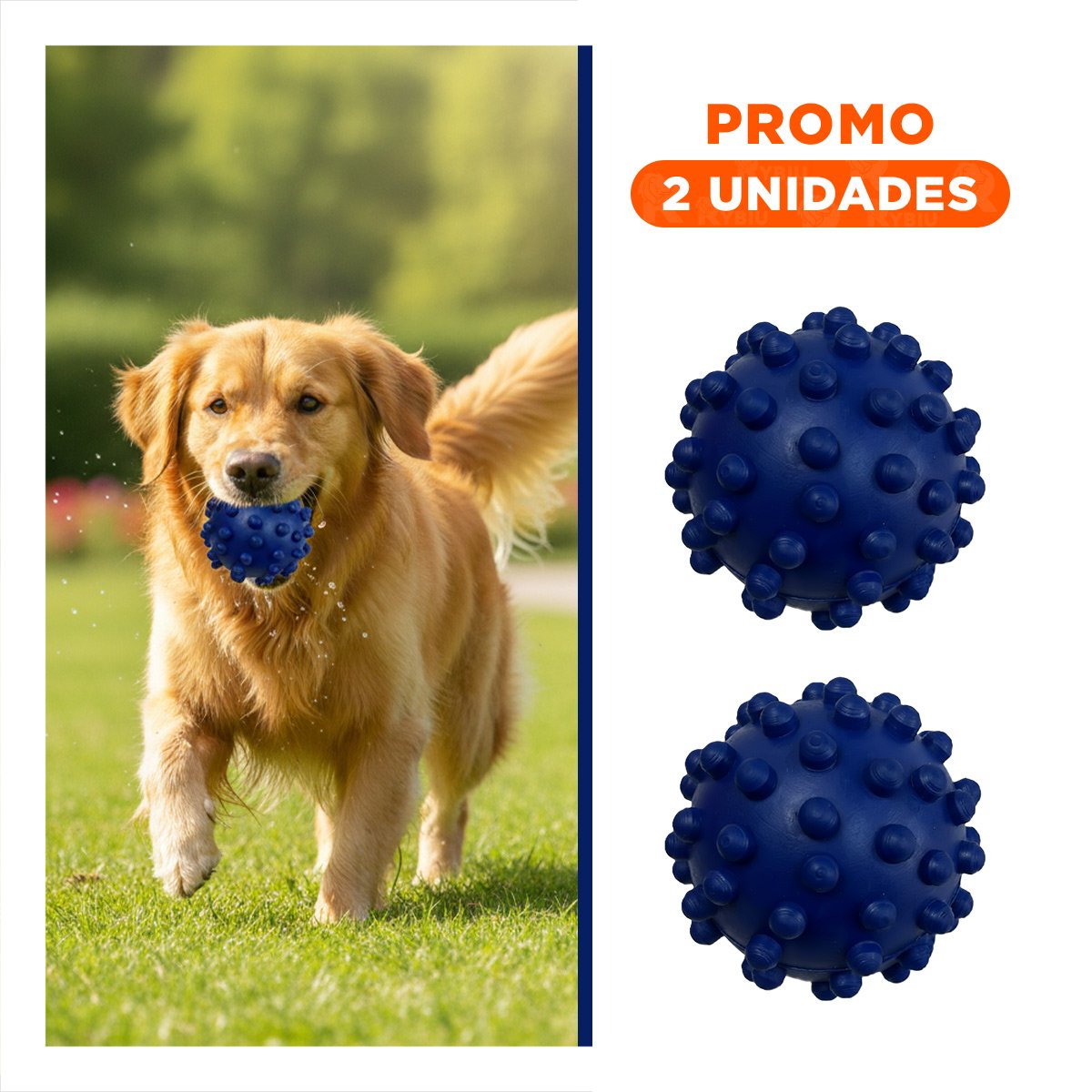 PACK2 ACCESORIO PARA PERRO AZUL TIPO CHIRIMOLLA CON BUEN AGARRE - 1