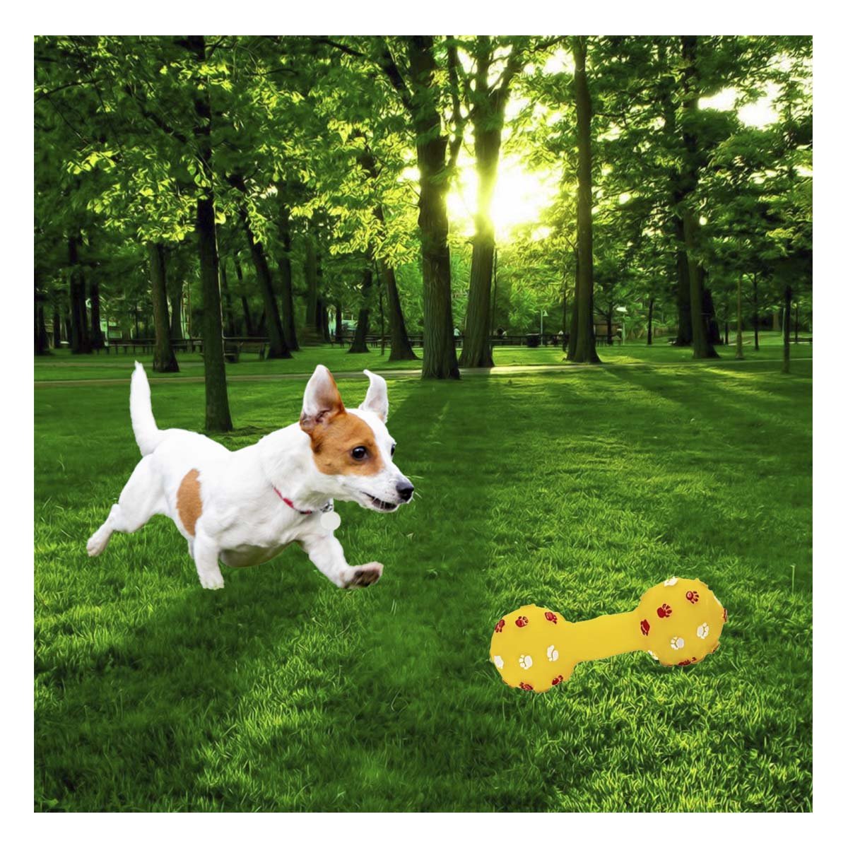 PACK4 HUESO CANINO AMARILLO CON TEXTURA DIVERTIDA PARA JUEGO DIARIO Y+PAPEL REGALO - 2