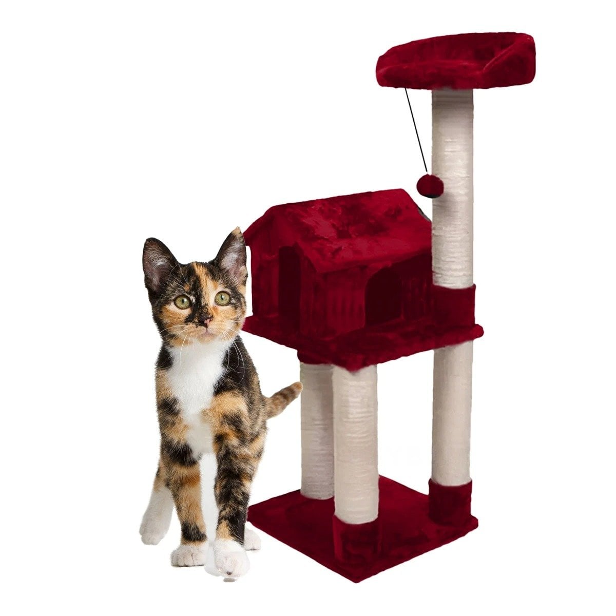 GIMNASIO FELINO DE 3 PISOS COLOR ROJO CON ESTRUCTURA ESTABLE Y SEGURA Y+LIGAS REGALO - 3