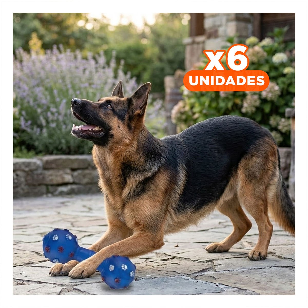 PACK6 JUGUETE CANINO HUESO AZUL CON DETALLES DECORATIVOS DE PATITAS Y+REGALO STICKER - 1