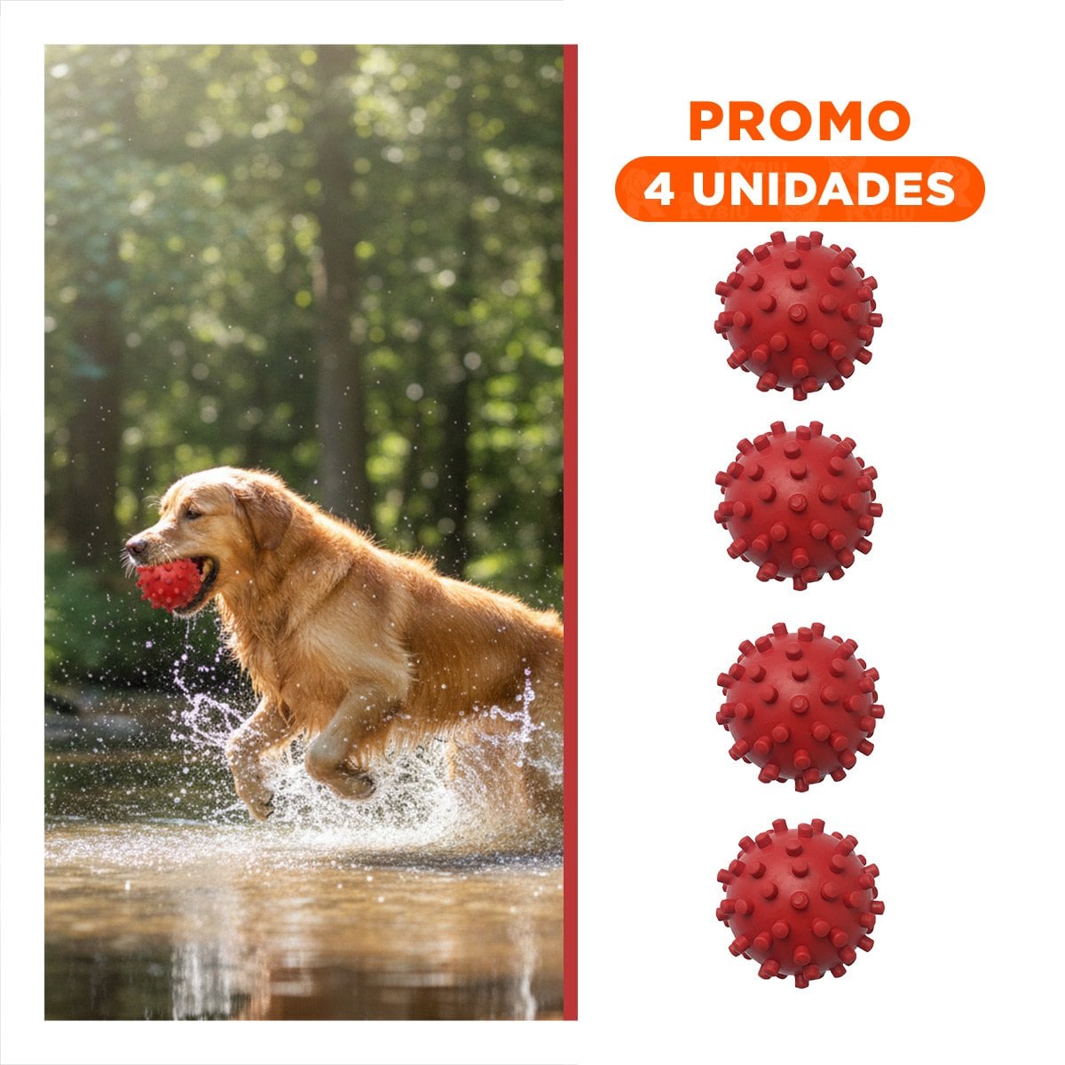 PACK4 MORDEDOR ROJO CANINO CON FORMA CHIRIMOLLA RESISTENTE Y+REGALO STICKER - 1