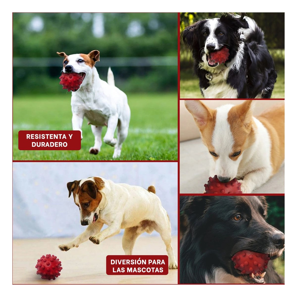 PACK4 MORDEDOR ROJO CANINO CON FORMA CHIRIMOLLA RESISTENTE Y+REGALO STICKER - 2