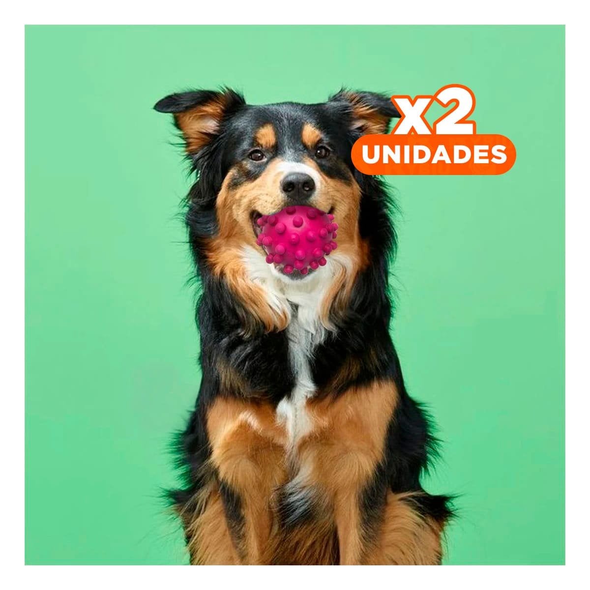 PACK2 ACCESORIO CANINO DE ENTRETENIMIENTO CAUCHO ROSADO CON FORMA DIVERTIDA Y+REGALO STICKER - 1