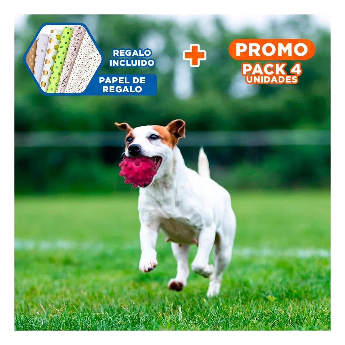 PACK4 JUGUETE COMPACTO DE CAUCHO ROSADO PARA PERROS PEQUENOS Y MEDIANOS Y+PAPEL REGALO - 1