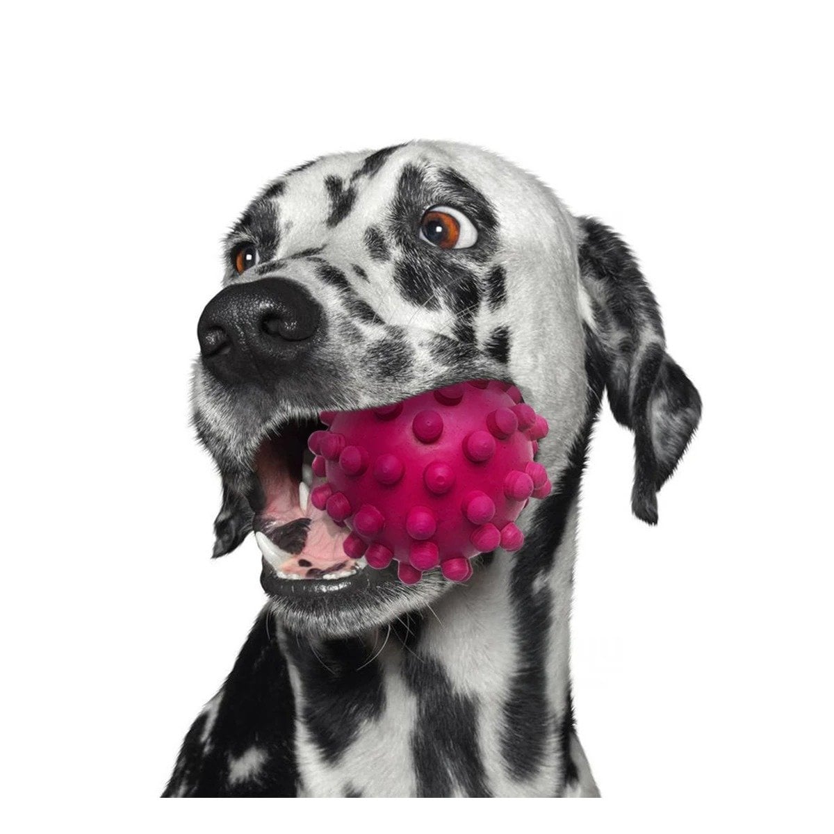 PACK4 JUGUETE COMPACTO DE CAUCHO ROSADO PARA PERROS PEQUENOS Y MEDIANOS Y+PAPEL REGALO - 3