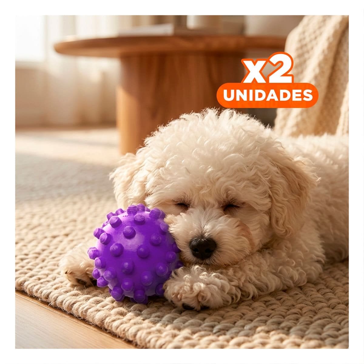 PACK2 PELOTA MORADO CHIRIMOLLA GRANDE PARA EJERCICIO DIARIO DE TU MASCOTA Y+REGALO STICKER - 1