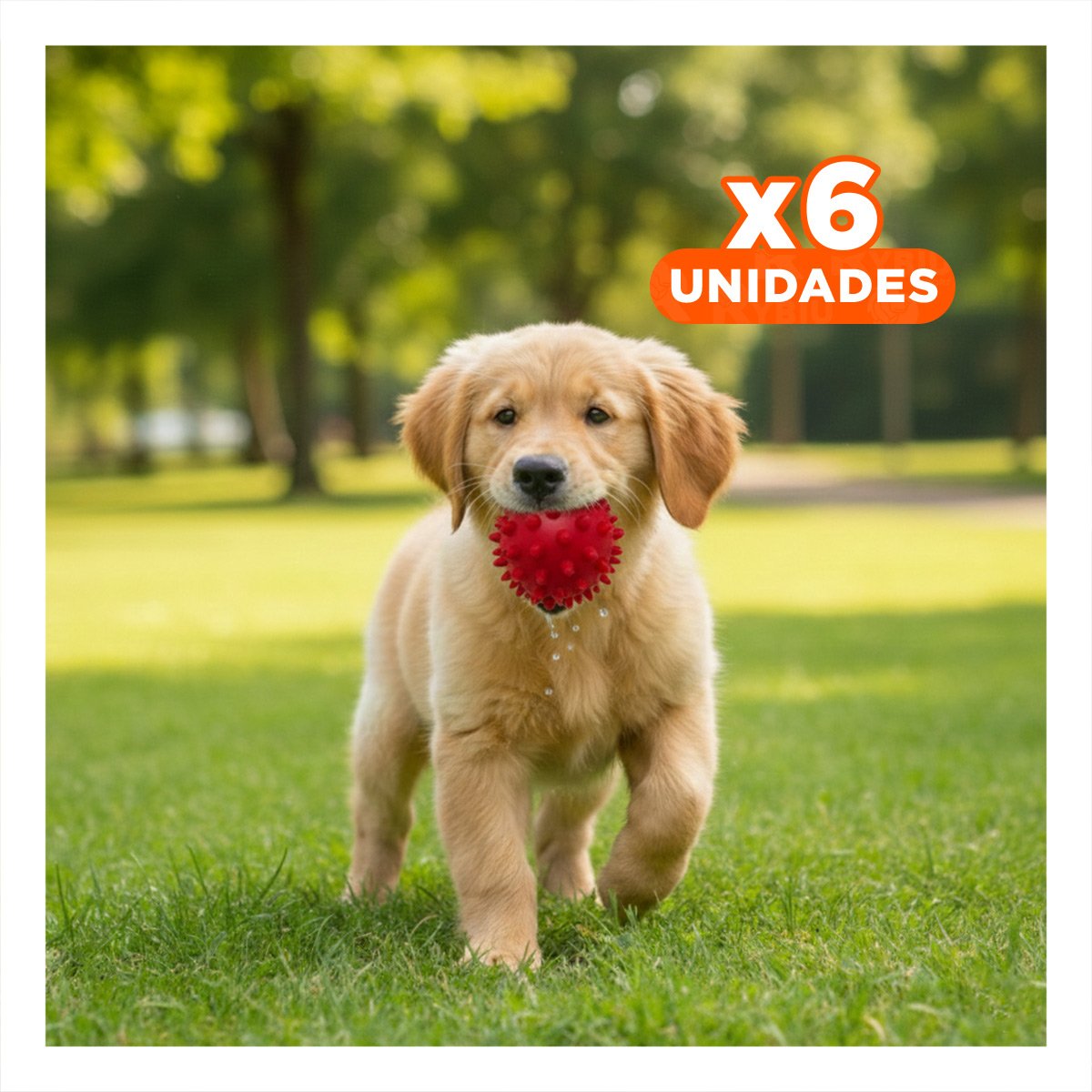 PACK6 JUGUETE CANINO DE CAUCHO ROJO CON ESTILO CHIRIMOLLA Y+REGALO STICKER - 1