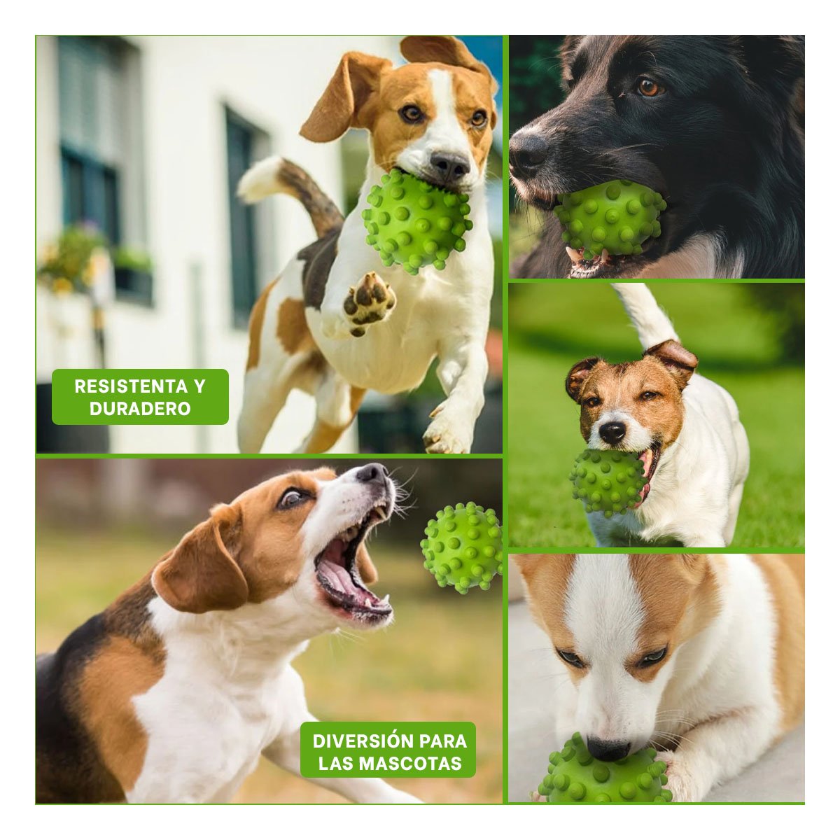PACK4 PELOTA INTERACTIVA DE CAUCHO VERDE PARA PERROS CON TEXTURA AGRADABLE Y+REGALO STICKER - 2