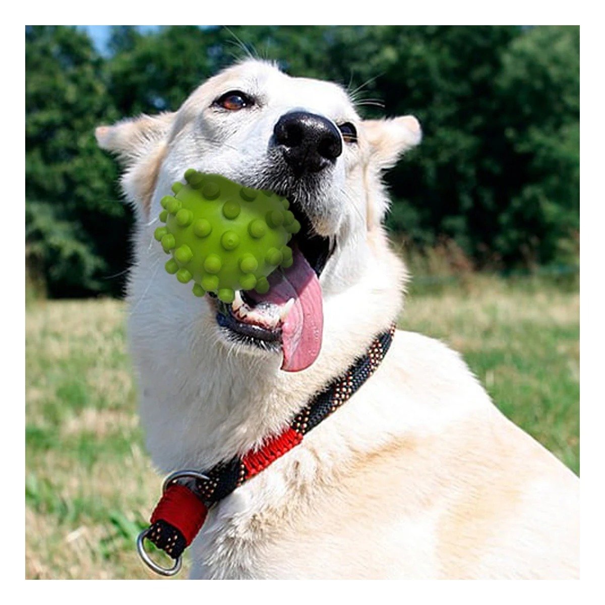 PACK4 PELOTA INTERACTIVA DE CAUCHO VERDE PARA PERROS CON TEXTURA AGRADABLE Y+REGALO STICKER - 3