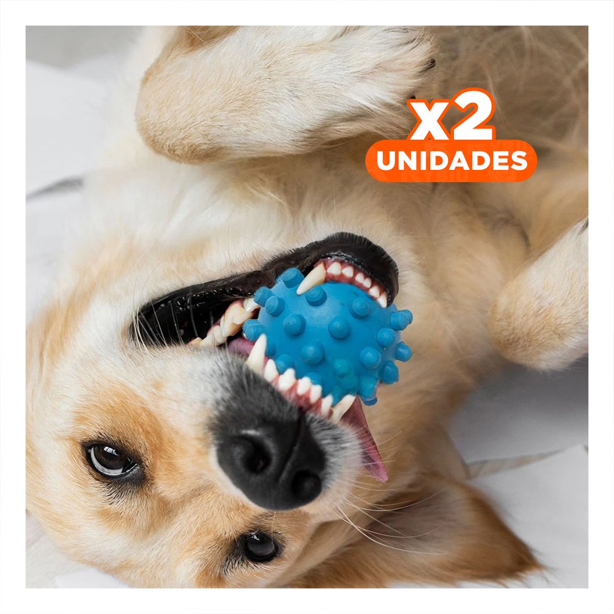 PACK2 ACCESORIO PARA PERROS CAUCHO CELESTE CON TEXTURA QUE FAVORECE LA MORDIDA Y+REGALO STICKER - 1