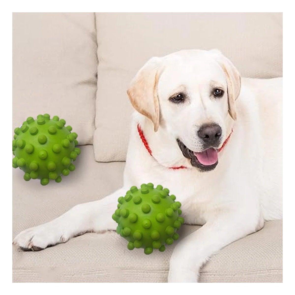 PACK12 JUGUETE DE CAUCHO NATURAL VERDE FORMA CHIRIMOLLA SEGURO PARA MASCOTAS - 5