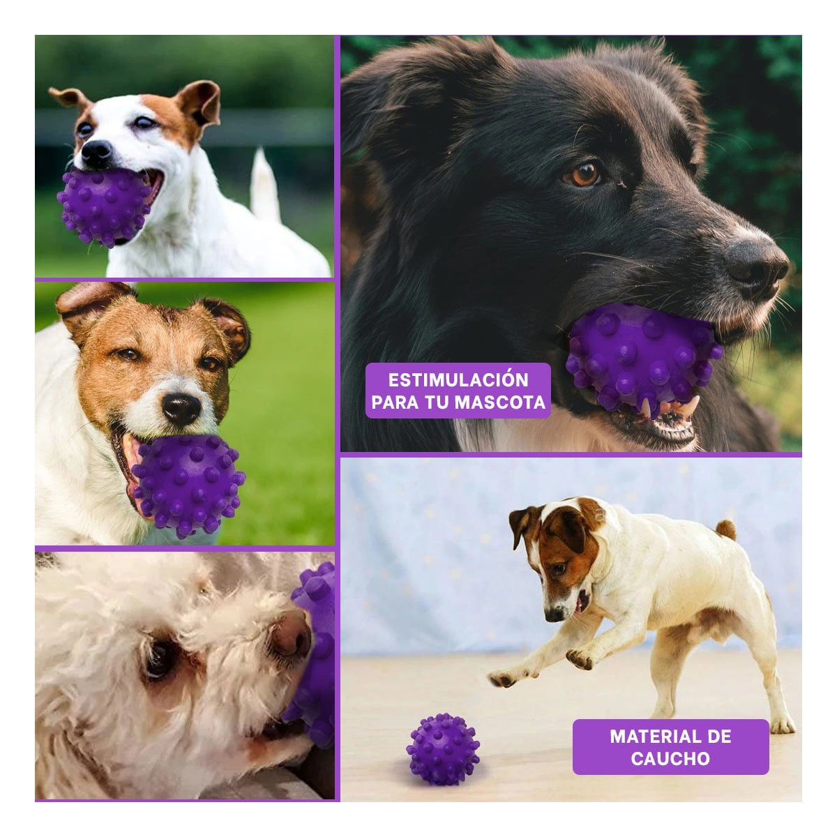 PACK12 FIGURA INTERACTIVA CHIRIMOLLA MORADO GRANDE PARA JUEGOS REPETIDOS Y+PAPEL REGALO - 2