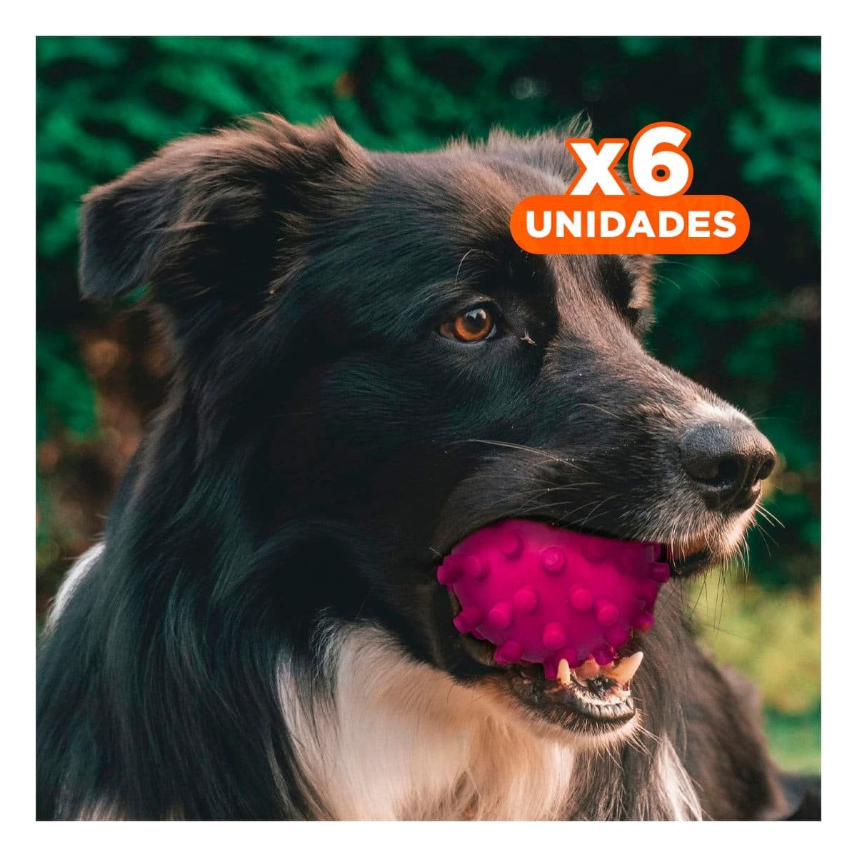 PACK6 PELOTA DE PERROS CAUCHO ROSADO TEXTURA DIVERTIDA QUE ESTIMULA LA MORDIDA Y+REGALO STICKER - 1