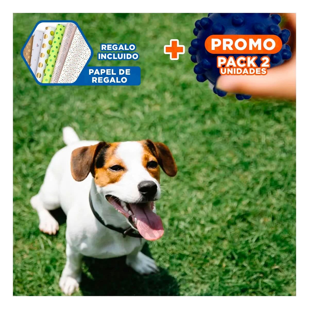 PACK2 ACCESORIO DIDACTICO CANINO CAUCHO AZUL GRANDE PARA ACTIVIDADES DINAMICAS Y+PAPEL REGALO - 1