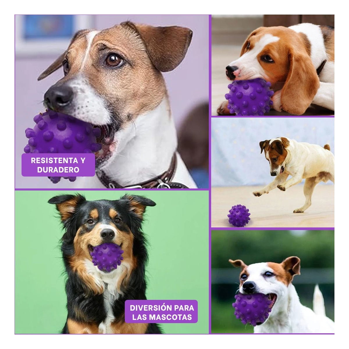 PACK4 DISPOSITIVO DE JUEGO MORADO GRANDE PARA PERROS CON MATERIAL DURABLE Y+REGALO STICKER - 2