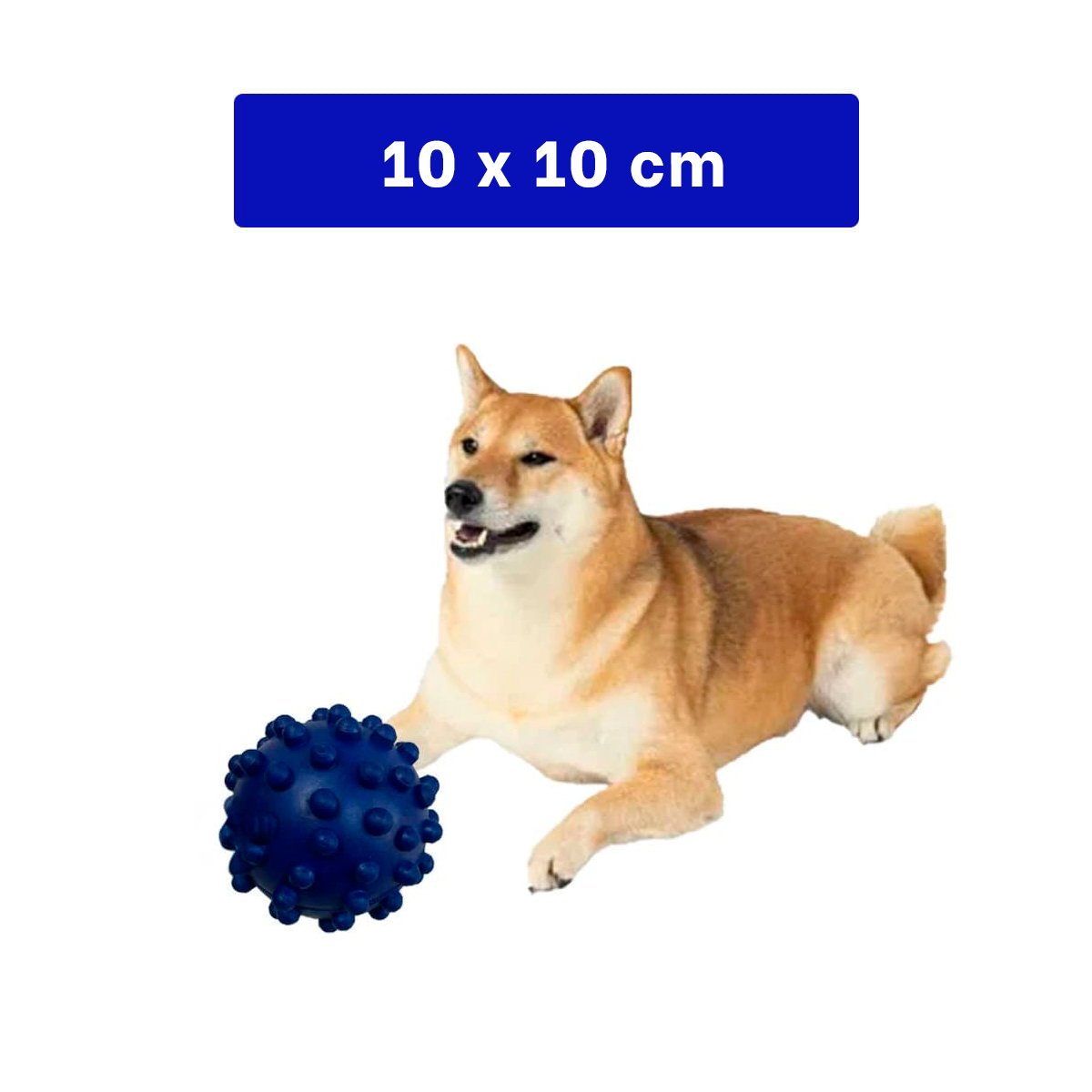 PACK12 DISPOSITIVO PARA CANINOS CAUCHO AZUL GRANDE CON RELIEVE SEGURO Y+REGALO STICKER - 4