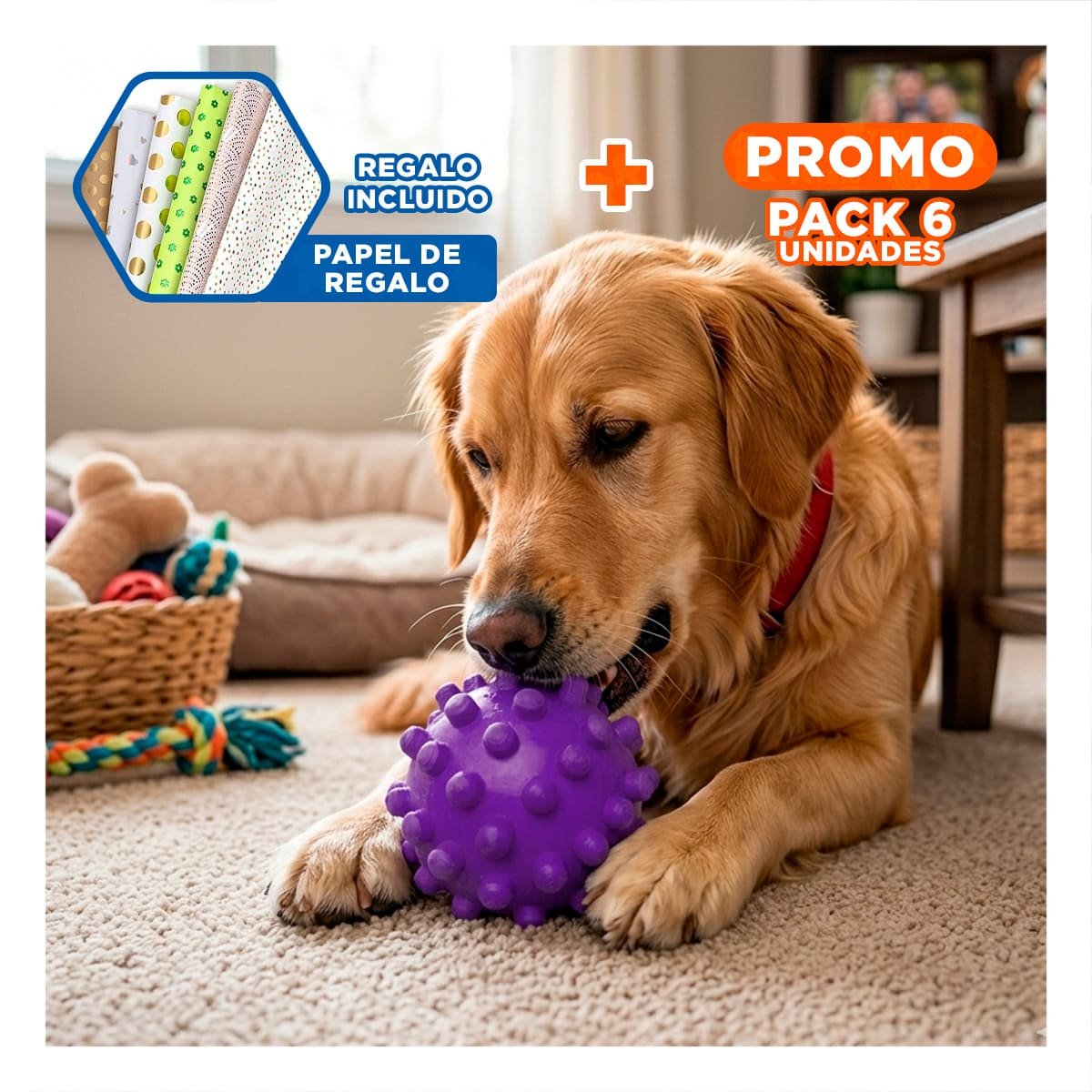 PACK6 ACCESORIO DE ACTIVIDAD CANINA CAUCHO MORADO GRANDE FACIL DE TRANSPORTAR Y+PAPEL REGALO - 1
