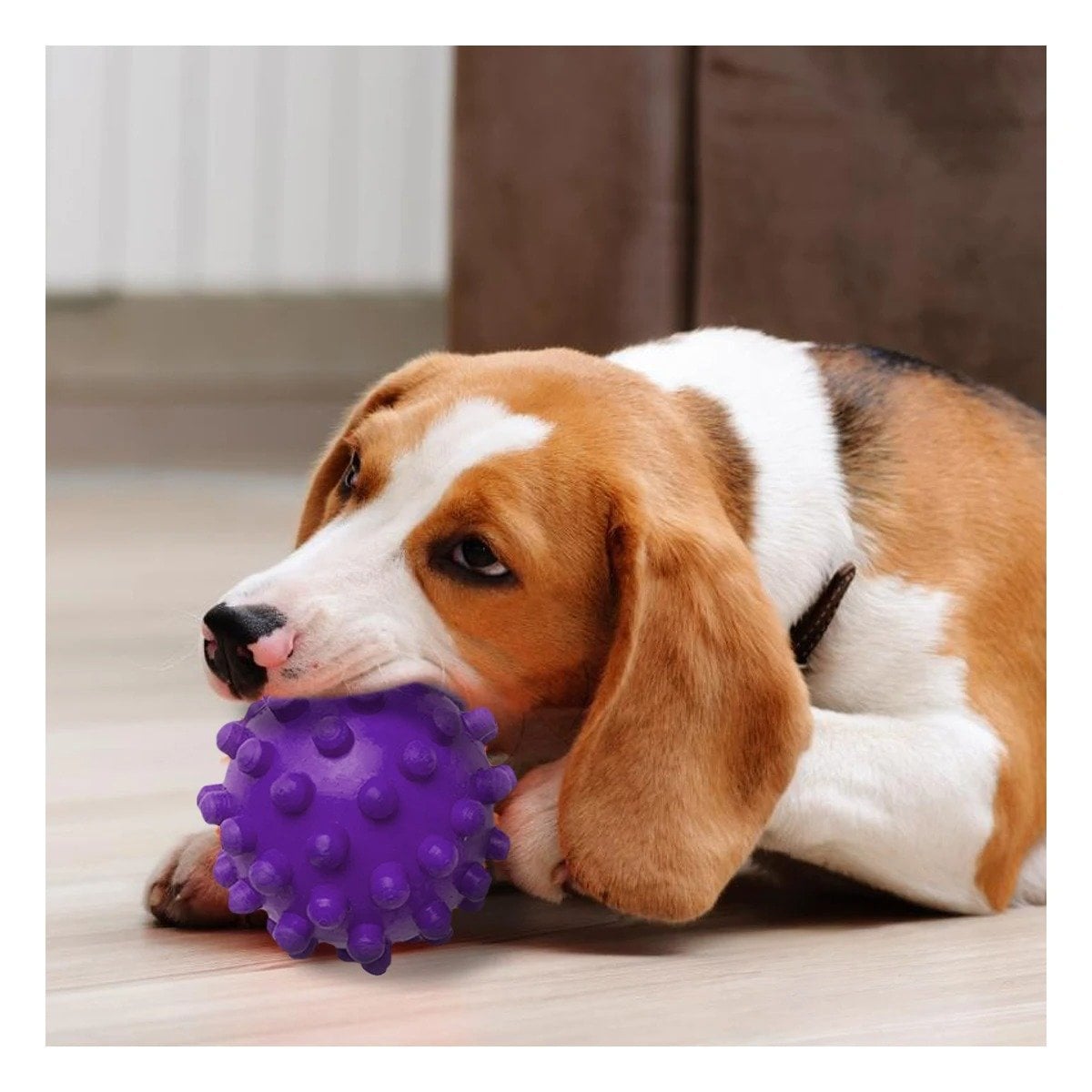 PACK6 ACCESORIO DE ACTIVIDAD CANINA CAUCHO MORADO GRANDE FACIL DE TRANSPORTAR Y+PAPEL REGALO - 2