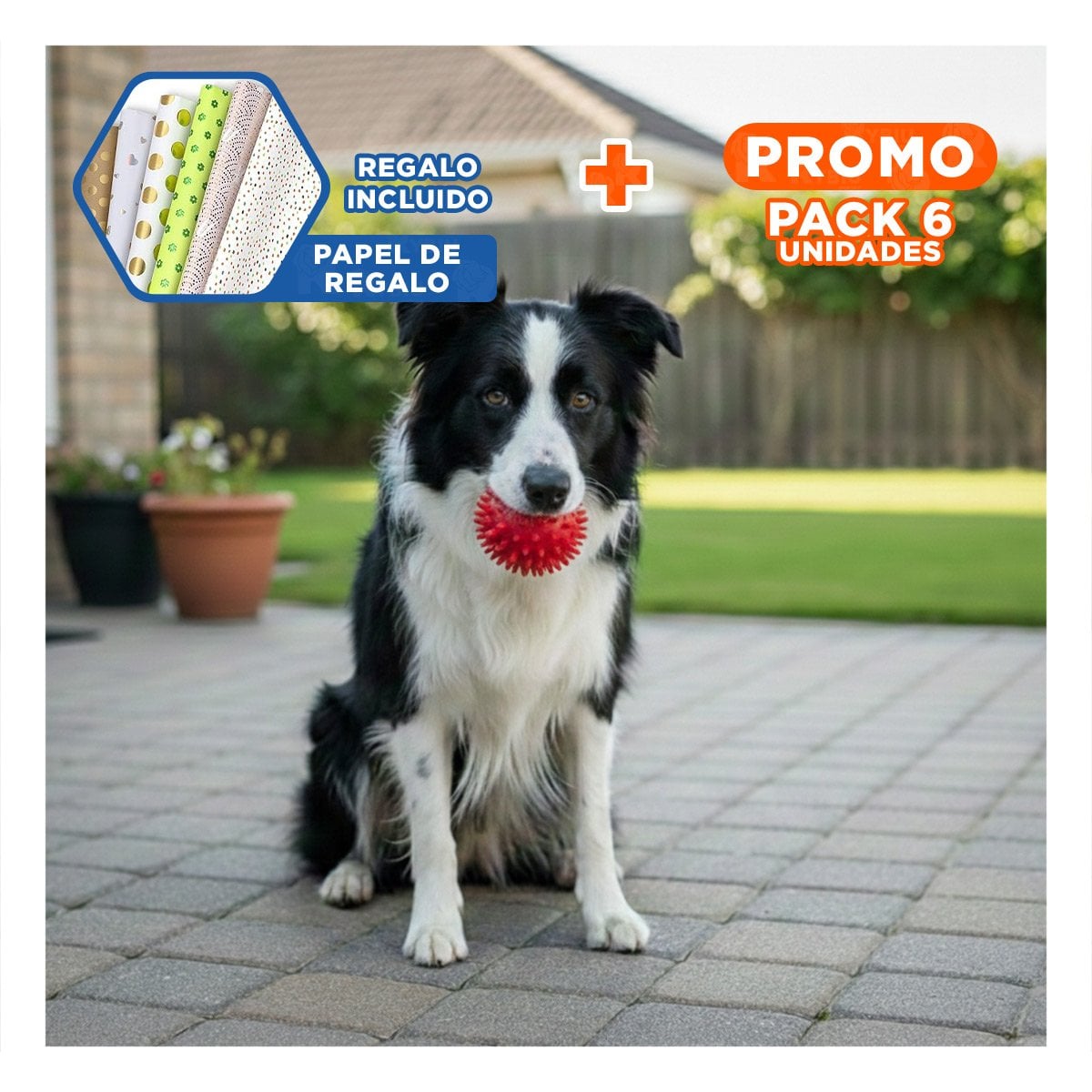 PACK6 DISPOSITIVO DE MASCOTAS ROJO TIPO CHIRIMOLLA FACIL DE USAR Y+PAPEL REGALO - 1