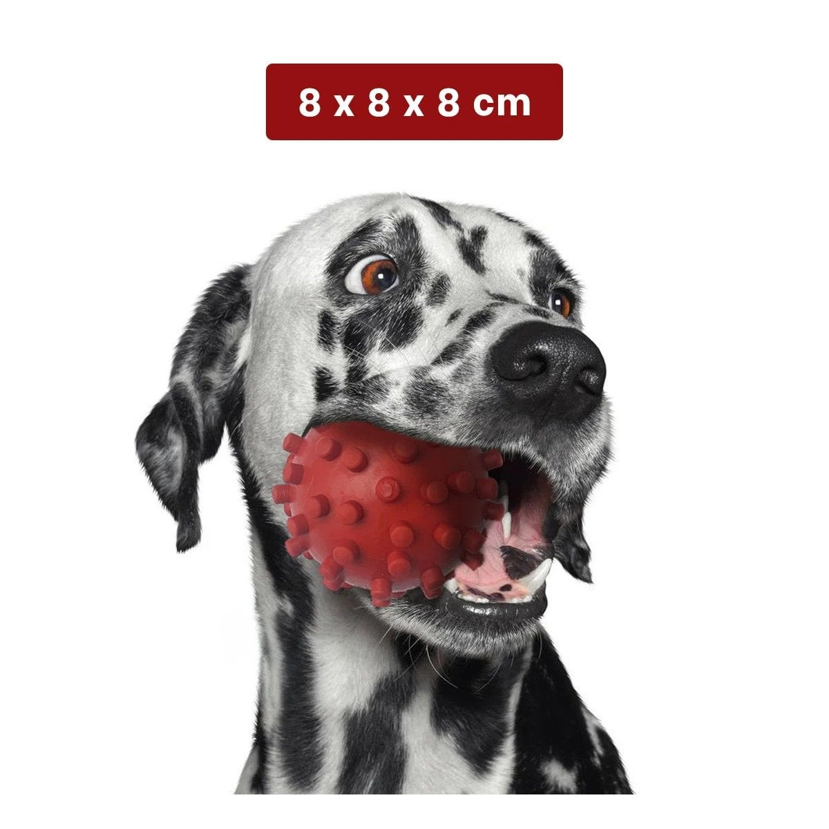 PACK6 DISPOSITIVO DE MASCOTAS ROJO TIPO CHIRIMOLLA FACIL DE USAR Y+PAPEL REGALO - 4