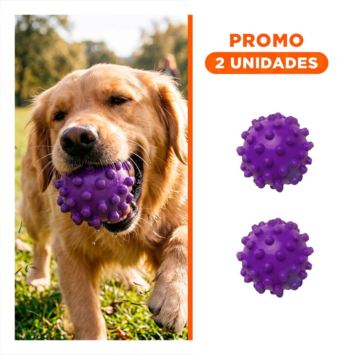 PACK2 JUGUETE DE ENTRENAMIENTO CAUCHO MORADO GRANDE PARA JUEGOS EN INTERIOR Y EXTERIOR - 1